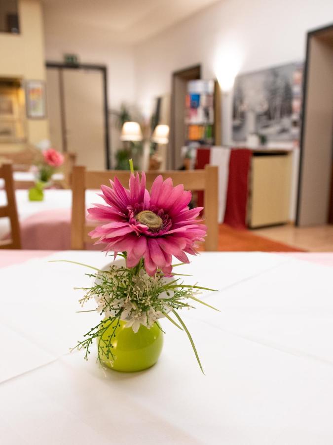 Pension Hotel Mariahilf Виена Екстериор снимка