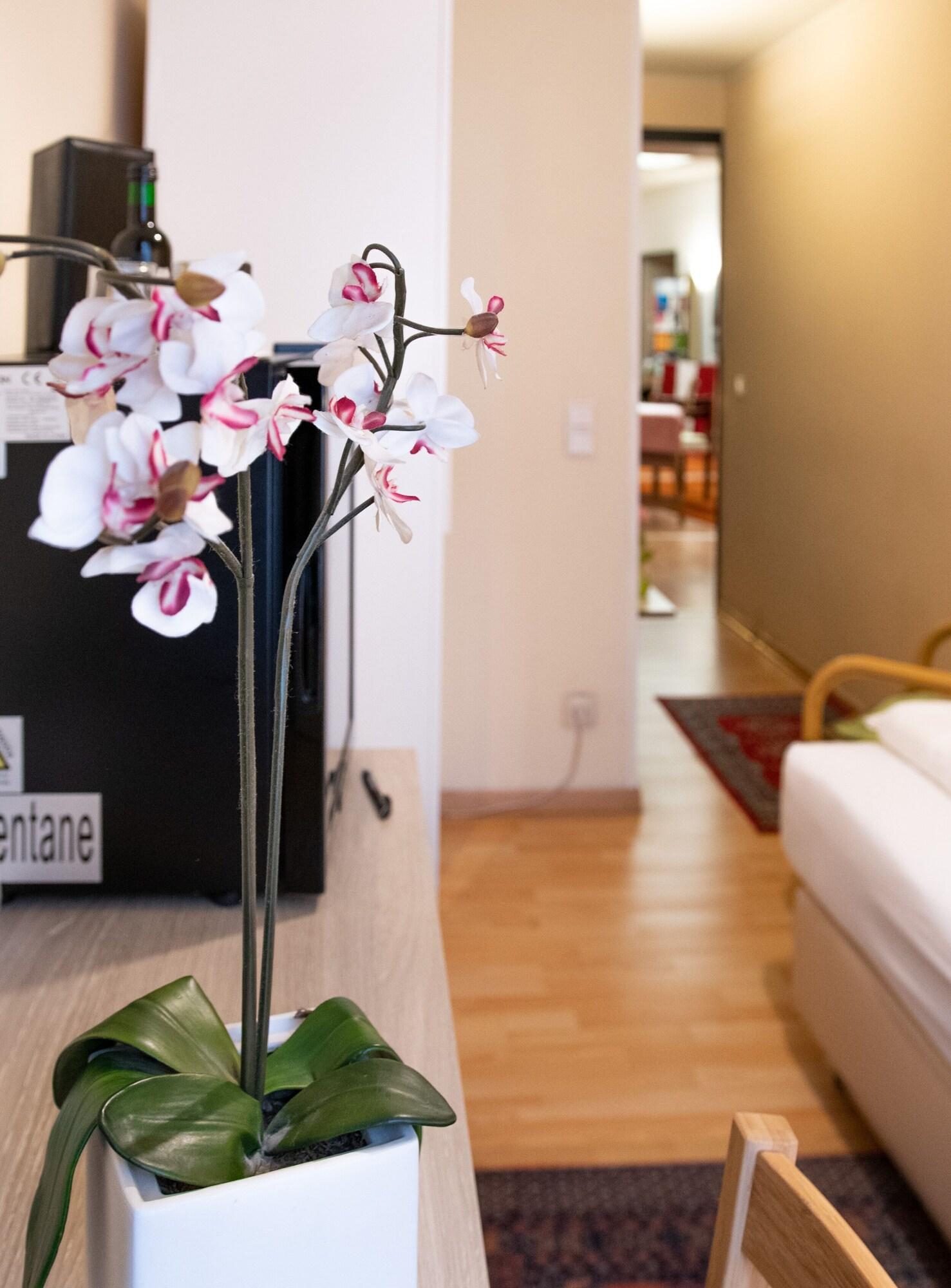 Pension Hotel Mariahilf Виена Екстериор снимка